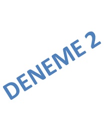 DENEME 2